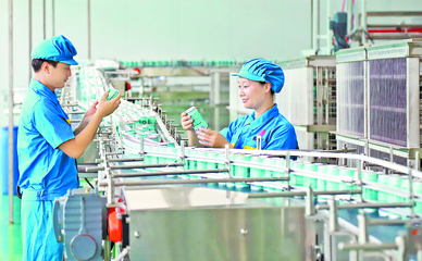 綠水青山無價寶·四年試點看蛻變|紅土地上的綠色之歌